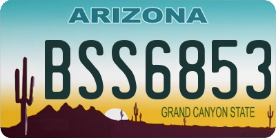 AZ license plate BSS6853