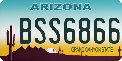 AZ license plate BSS6866