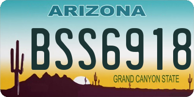 AZ license plate BSS6918