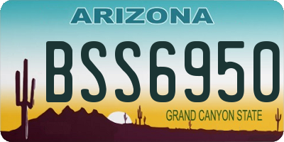 AZ license plate BSS6950