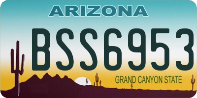 AZ license plate BSS6953