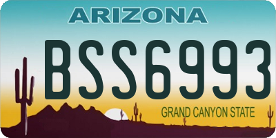 AZ license plate BSS6993