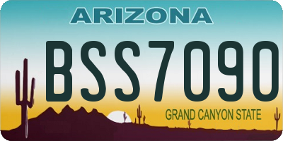 AZ license plate BSS7090
