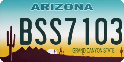 AZ license plate BSS7103