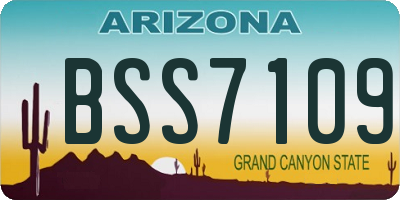 AZ license plate BSS7109