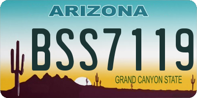 AZ license plate BSS7119