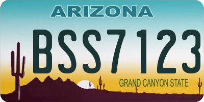 AZ license plate BSS7123