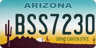 AZ license plate BSS7230