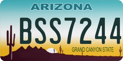 AZ license plate BSS7244