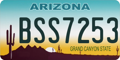 AZ license plate BSS7253