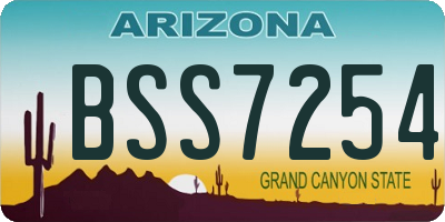 AZ license plate BSS7254