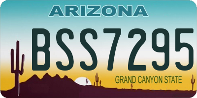 AZ license plate BSS7295