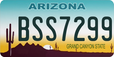 AZ license plate BSS7299