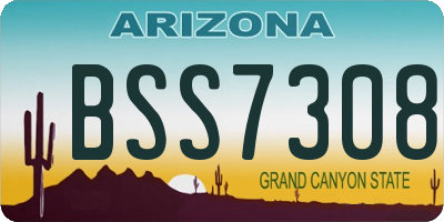 AZ license plate BSS7308