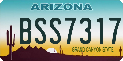 AZ license plate BSS7317