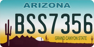 AZ license plate BSS7356