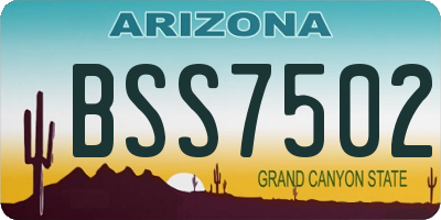 AZ license plate BSS7502