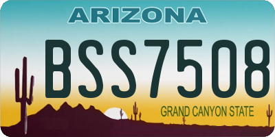 AZ license plate BSS7508