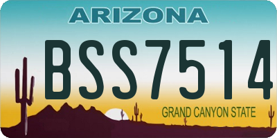 AZ license plate BSS7514