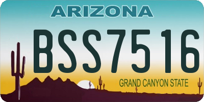 AZ license plate BSS7516