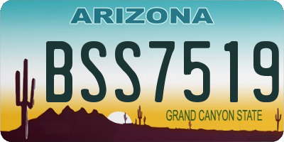 AZ license plate BSS7519