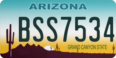 AZ license plate BSS7534