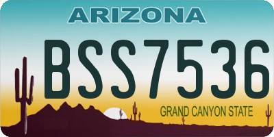 AZ license plate BSS7536