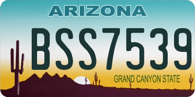 AZ license plate BSS7539