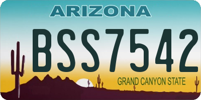 AZ license plate BSS7542