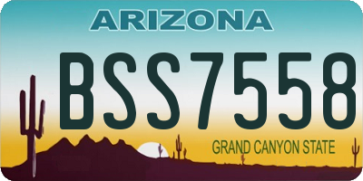 AZ license plate BSS7558