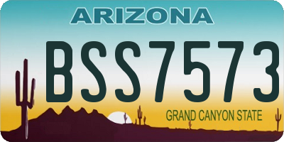 AZ license plate BSS7573