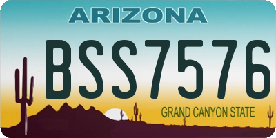 AZ license plate BSS7576