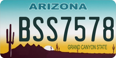 AZ license plate BSS7578