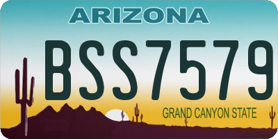 AZ license plate BSS7579