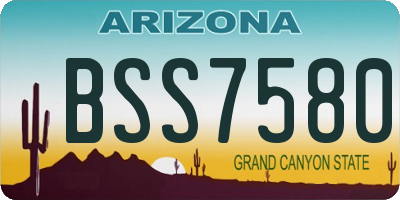 AZ license plate BSS7580