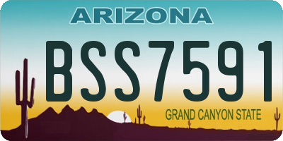 AZ license plate BSS7591