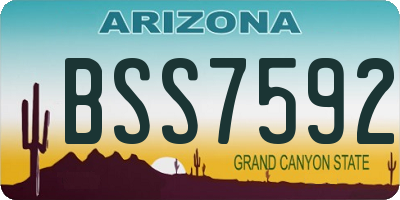 AZ license plate BSS7592