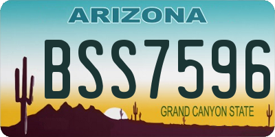 AZ license plate BSS7596