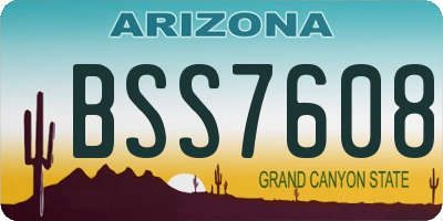 AZ license plate BSS7608