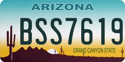 AZ license plate BSS7619