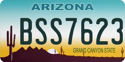 AZ license plate BSS7623