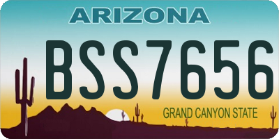 AZ license plate BSS7656