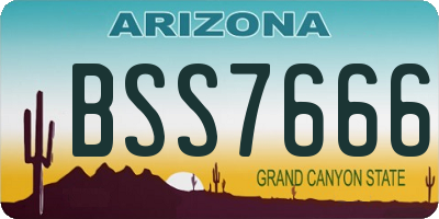 AZ license plate BSS7666