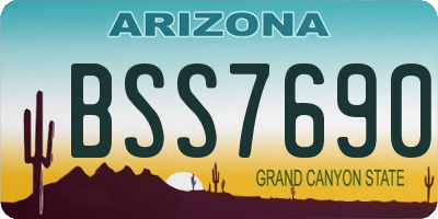 AZ license plate BSS7690