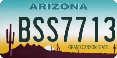 AZ license plate BSS7713