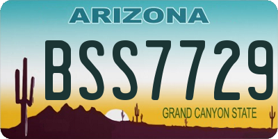 AZ license plate BSS7729