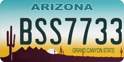 AZ license plate BSS7733