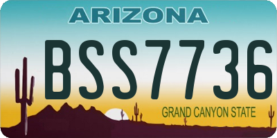 AZ license plate BSS7736