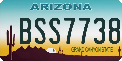 AZ license plate BSS7738