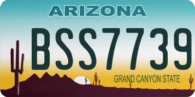 AZ license plate BSS7739